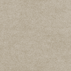 MESSUMATTO CHAMPAGNE FILM